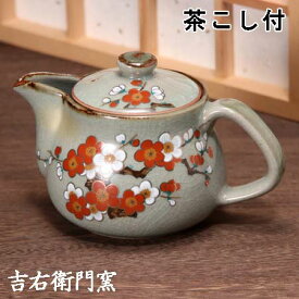 九谷焼 ポット 紅白梅 茶こし付 ティーポット 九谷焼 急須 茶器 和食器