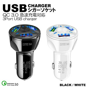 VK[\Pbg USB  iPhone g X}z [d ԍ 3 }[d Ԓ 3.1A gbN 24VΉ J[`[W[ iPhone Android