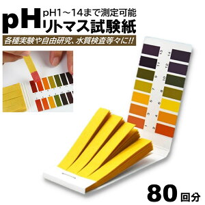 80 g}X ph y[n[  A   y   ANAE v[ pH1-14  g}X