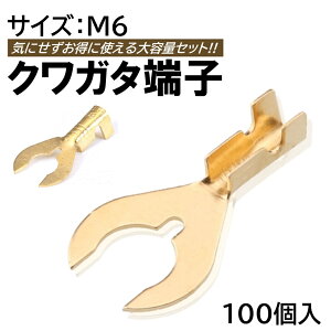 NK^[q M6 100 Zbg 6mm A[X[q z DIY ^[q N^[q 킪[q M{V[q