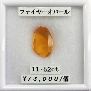 Ip[ t@C[Ip[ 11.62ct a 10 [X  VR a H