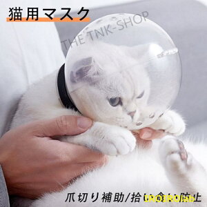 �y�S�i2�_��5%OFF�z�L�}�X�N �L ���� ���� �y�b�g���� �y�b�g�}�X�N �L�p�}�X�N �G���U�x�X�J���[ �l�R �˂� �ܐ؂�⏕�p �y�b�g���� �F���w�b�h�M�A���� �ʋC�� ���|�� �V�����[ ���e �y�b