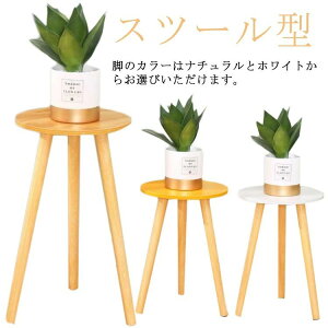 �y�S�i2�_��5%OFF�z���^ �A�ؔ��u�� ���킢�� �A���� �ԑ� ���� �ϗt�A�� �X�c�[���^ �t�����[�X�^���h ���A�� ���� ���� ���X�^���h �� �ؐ� �ی^ �k�� �C���e���A ��̓� �a���� �v���[���g 