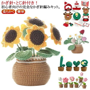 �y�S�i2�_��5%OFF�z�N���X�}�X �n���E�B�� �A�� �A�ؔ� �҂ݕ��L�b�g �҂ݕ� �r�f�I�����t�� ������ ��l���� ���S�Ҍ��� �t����