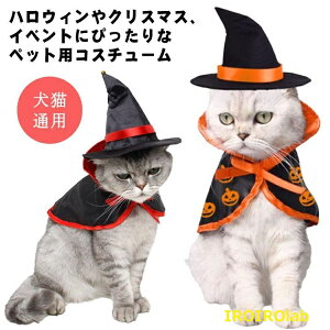 �y�S�i2�_��5%OFF�z �X�q���}���g �n���E�B�� �R�X�v�� �� �L �y�b�g�� �R�X�`���[�� �ߑ� ���@�g�� ���� ���p �L�p �}���g �X�q �L�� ���� �m�� �B�e