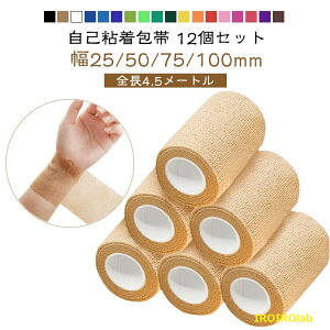 �y�S�i2�_��5%OFF�z������� �S����� ���ȔS����� ��� 12�Z�b�g �֗� ��������� �L�k��� ��������� �o���e�[�W ����ɂ��� 4.5���[�g�� �e����� �s�D�z �ʋC�� ����y �X�|�[�c�o��