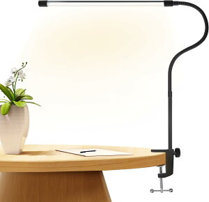 fXNCg /Nbv/NvCg LEDdCX^h A[Cg iK 3iKF ʔ 360x]A[ ubN ȃGl wK 䓔 ׋  邢 Cg