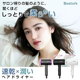 ヘアドライヤー 大風量 マイナスイオン ドライヤー 速乾 恒温保護 1300W 2種類ノズル ヘアケア ツヤ髪 3段モード 冷風 温風 熱風 美容家電 スピーディーイオンドライヤー 折畳み式 収納 ドライヤー 軽量