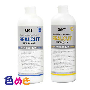 G&T W[AheB[ REALCUT (BEC)2{Zbge500mlG}W AJbg Ki RpEh ԕC 