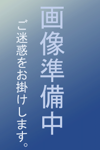 XwHƁ@" jX߉t TZ-80 4L 1ʁ@y [J[ z " bNjX nNbNjX 𐸓h