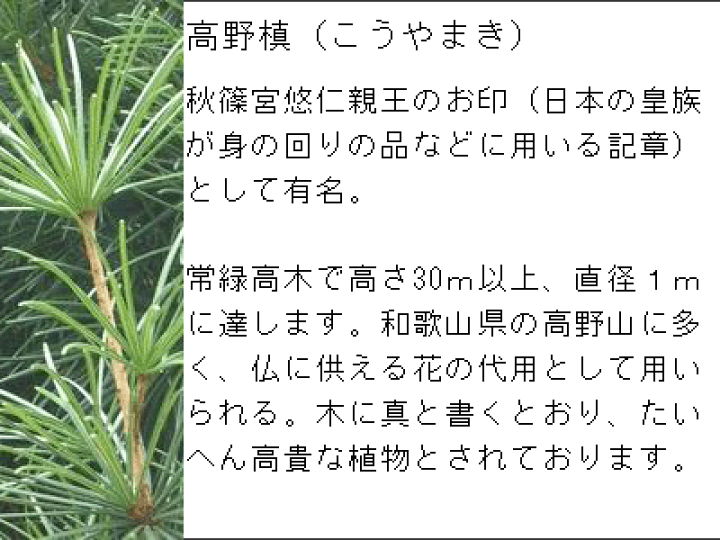 楽天市場】【最高級生地で御誂え】正絹色無地 付下げ柄高野槙文 好みの ...