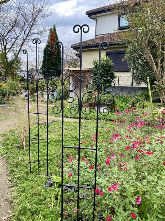 楽天市場 トレリス薔薇の花をお庭いっぱいに ガーデニング 錆びないアルミ製 薔薇 庭 誘引 軽い イングリッシュガーデン クレマチス バラ 家庭菜園 Bises ガーデニング ローズ バラの香り ロートアルミのブルーティアラ