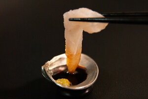 M M ݖM a H aH  ͂܂ L v[ g Mtg j  yMz