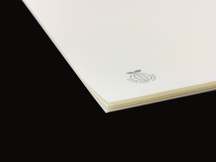 楽天市場 紙飛行機 飛行機紙ヒコーキ 折り紙 10枚入り 競技用 専用紙 用紙エコ用紙 Castem