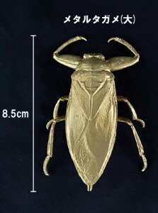 ^K Ŋ뜜   ^  fXN CeA u A  G  ^V[Y