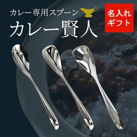 名入れ カレースプーン 山崎金属工業 スプーン プレゼント ギフト クリスマス 結婚記念日 記念品 父の日 誕生日 カレー賢人 カレー専用 サクー キャリ ヒダリー カレー カトラリー 左利き 結婚祝い バレンタイン
