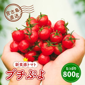 プチぷよ ミニトマト トマト 甘い 国産 産地直送 プチプヨ ぷちぷよ 青空レストラン ギフト 朝採れ パニパニ 宮古島 沖縄 冷凍 フルーツ プチトマト 取り寄せ