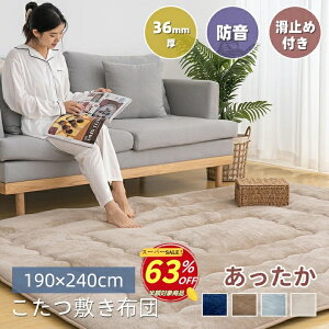 yyVX[p[SALE 63OFFz~zc ɌO ` 190×240cm R^c~zc J[ybg  6w tln  ~ߕt g[Ή h Չ ~pbh 