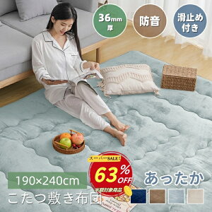 yyVX[p[SALE 63OFFz~zc ɌO ` 190×240cm R^c~zc J[ybg  6w tln  ~ߕt g[Ή h Չ ~pbh 