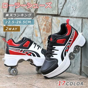 yz!X[p[SALEz[[V[Y [[XP[g [[ V[Y XP[g l q LbY K Xj[J[ [[Xj[J[ Y C w ̎q j̎q jp v[