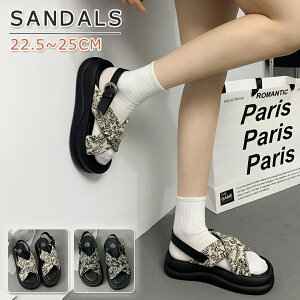 yz!X[p[SALEzRtH[gT_ fB[X  T_ NX xg  킢 ԕ gAbv T_ 5Z`\[ y ₷ ɂ  