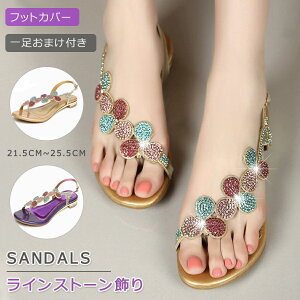 y6474~5503~ P10+5%COUPON! 11/19 23:59zT_ fB[X ؂ ₷ rT_  r[`T_ [q[ LL CXg[ C  l g