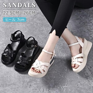 y4419~3977~ P5+5%COUPON! 11/27 01:59zX|[cT_ T_ fB[X  EGbW\[ ~ GĂ RtH[g gAbv 炩 ɂȂ ̎q  JW