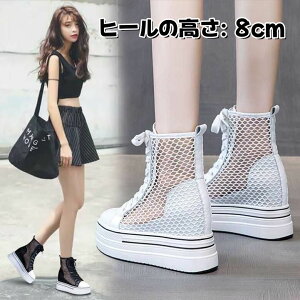 yI[vLOI5%OFFN[|E11/1܂ŁzT_ bV T}[u[c u[cT_  r u[c fB[X V[gu[c  }[eBu[c GWjAu[c WbL[