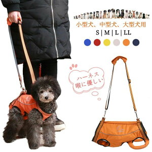 y100I5%COUPON+P5{6997~ 11/11܂Łzr[T  n[lX pn[lX SgT|[g s⏕ ^ ^ V V O 둫 ⏕ ybgp s⏕n