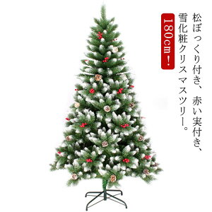 yI[vLOI5%OFFN[|E11/1܂Łzڂt k 180cm A k[hc[ t  O[ t LxȎ} A t   c[ ܂Ŗ{ NX