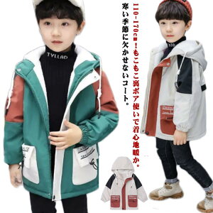 y100I5%COUPON+P5{2349~ 11/17܂Łz{A WPbg u] q   HD H WbvAbv h j̎q h {AR[g H LbY WjA {[CY t ~ 