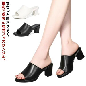 yz!X[p[SALEz~[ T_   fB[X `L[q[ q[ y JWA   ʋ t ꂢ T_ fB[X r ƂȂ ~[ d