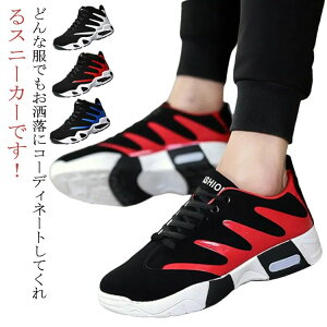 y3620~3258~ P5+5%COUPON! 11/27 01:59zGA[NbV  ʉ Xj[J[ rbOVGbg Y X|[cV[Y ₷ X|[cXj[J[ _bhXj[J[ y  