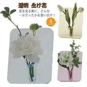 yI[vLOI5%OFFN[|E11/1܂Łzk ֑} AN ԕr ؍ Ԃт   ʐ^Ă݂ JtF CeA SNSf ̓ v[g Mtg 蕨 ֑}ԕr 