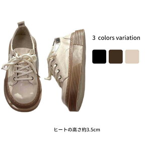 yz!X[p[SALEz[t@[ A[hgD fB[X JWAV[Y RC[t@[ ᔽ n  ubN uE 22.5 23.0 23.5 24.0 24.5 25.0 ʊw ʋ N[g ^N\