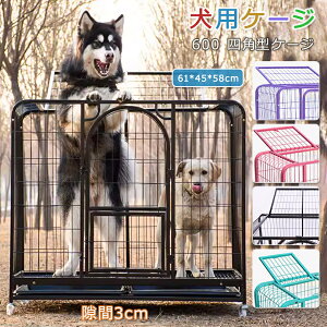 yI[vLOI5%OFFN[|E11/1܂Łz s LbgP[W Lbg 600lp^P[W LbgQ[W LP[W Lbg^[X^WA [ LX^[ t B ˂ lR L 