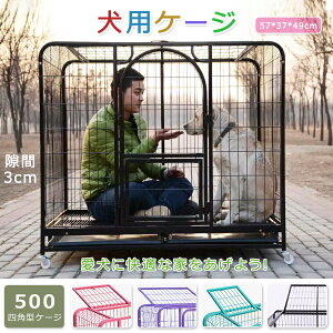 yI[vLOI5%OFFN[|E11/1܂Łz xs LbgP[W Lbg 500lp^P[W LbgQ[W LP[W Lbg^[X^WA [ LX^[ t B ˂ lR L 