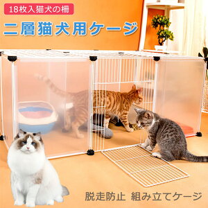 yI[vLO!P10{8550~ 10/27܂ŁzCZbg/18 gݗăP[W tFX LpP[W ̍ Lbe[ wpP[W L̍ Eh~ L  ybg Q[g ybg