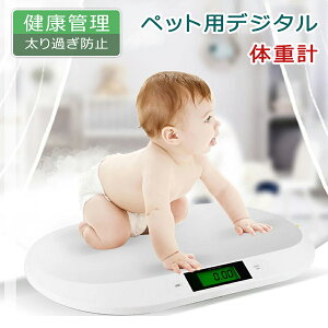 yI[vLOI5%OFFN[|E11/1܂Łzybgp̏dv ybg̏dv fW^̏dv ybgpi  ^ ̏dǗ NǗ 얞΍  XP[ ybgp ybgXP[ v 