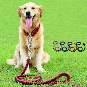 yI[vLOI5%OFFN[|E11/1܂ŁzyS4F n[t`[N  yS4F vȕ҂ݕR`F[^Cv