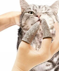 yI[vLOI5%OFFN[|E12/1܂ŁzuV ybgp 2Zbg Lp p  ybgpi w PA tBK[uV  wT f^PA ̃PA ybgObY