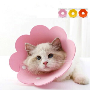 y100I5%COUPON+P5{1343~ 11/11܂ŁzGUxXJ[ \tg  L ybg _炩 p ی Ђ h~  畆  pi Lpi   PK p r