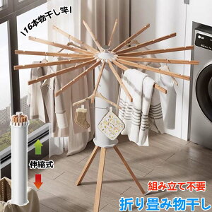 y100I5%COUPON+P5{7605~ 11/11܂Łz ܂肽 X^h e RpNg X Lk  X^h   ߗފbN x_p 