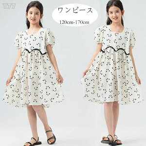 yz!X[p[SALEz؍q ̎q s[X ItzCg 킢 p_ s[ Ē p s[X G  W[ s[X s ][g o s[X