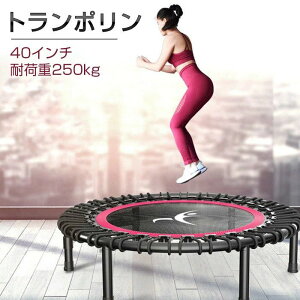 y16469~14822~ P5+5%COUPON! 11/27 01:59zg| ƒp Soh 40C` ƒp l q a v[g GNTTCY S XgX ω׏d250kg É z[W