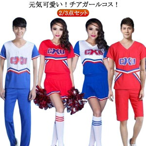 yz!X[p[SALEz2/3_Zbg  RX`[ X|[c `A XN[K[ RXv ㉺Zbg 킢 q q吶 c nEB `A jtH[ jEP ߑ 