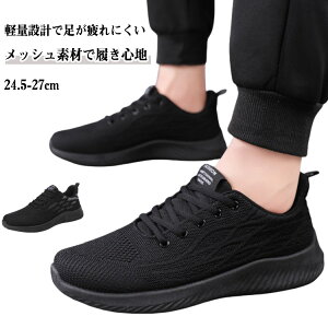 y100I5%COUPON+P5{1451~ 11/11܂ŁzC Xb| Y ^C fB[X EH[LOV[Y ʋC Xj[J[ [Jbg JWAV[Y  y ʊw  W 