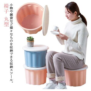 y100I5%COUPON+P5{3888~ 11/17܂Łz[Xc[ Xc[ [{bNX t^t oPc XgbN [ Wt ݔ _Xg{bNX  ᔠ [ ֎q ی^ ~` 