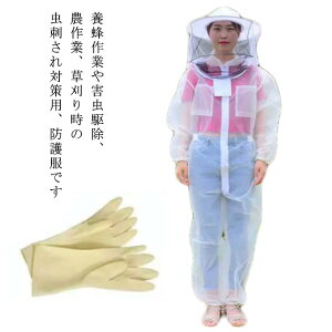 y3030~2879~ 5%N[|zz! 11/30 23:59z{I h앞 Ȃ  Zbg h앞 Ih앞 tFCXlbgt Jo[ I[ ʋC y K I Q쏜 _  Q I 