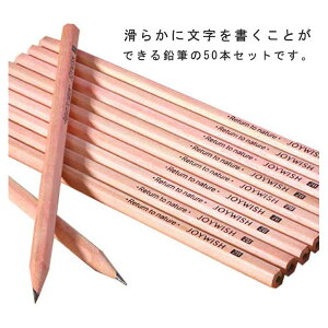 y100I5%COUPON+P5{1917~ 11/11܂ŁzM VR 2B Zp 50{ ҂ w ` LOi wj Mtg v[g j̎q ̎q ۈ牀 ct w Vv c^